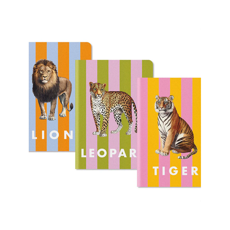 Lot de 3 cahiers A5 ( Lignées , blanc et point ) OHH DEER®